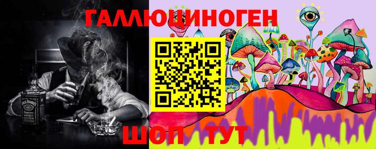 Псилоцибиновые грибы Psilocybe Димитровград