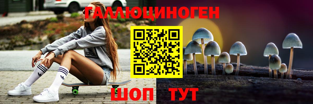 Псилоцибиновые грибы Psilocybe  Вход с VPN  Димитровград 